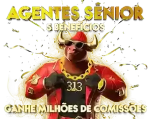 registo agents senoir